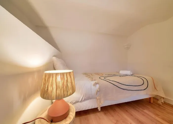 Nocnoc - Le Zellige - Petite Piscine Et Jardin En * Montpellier